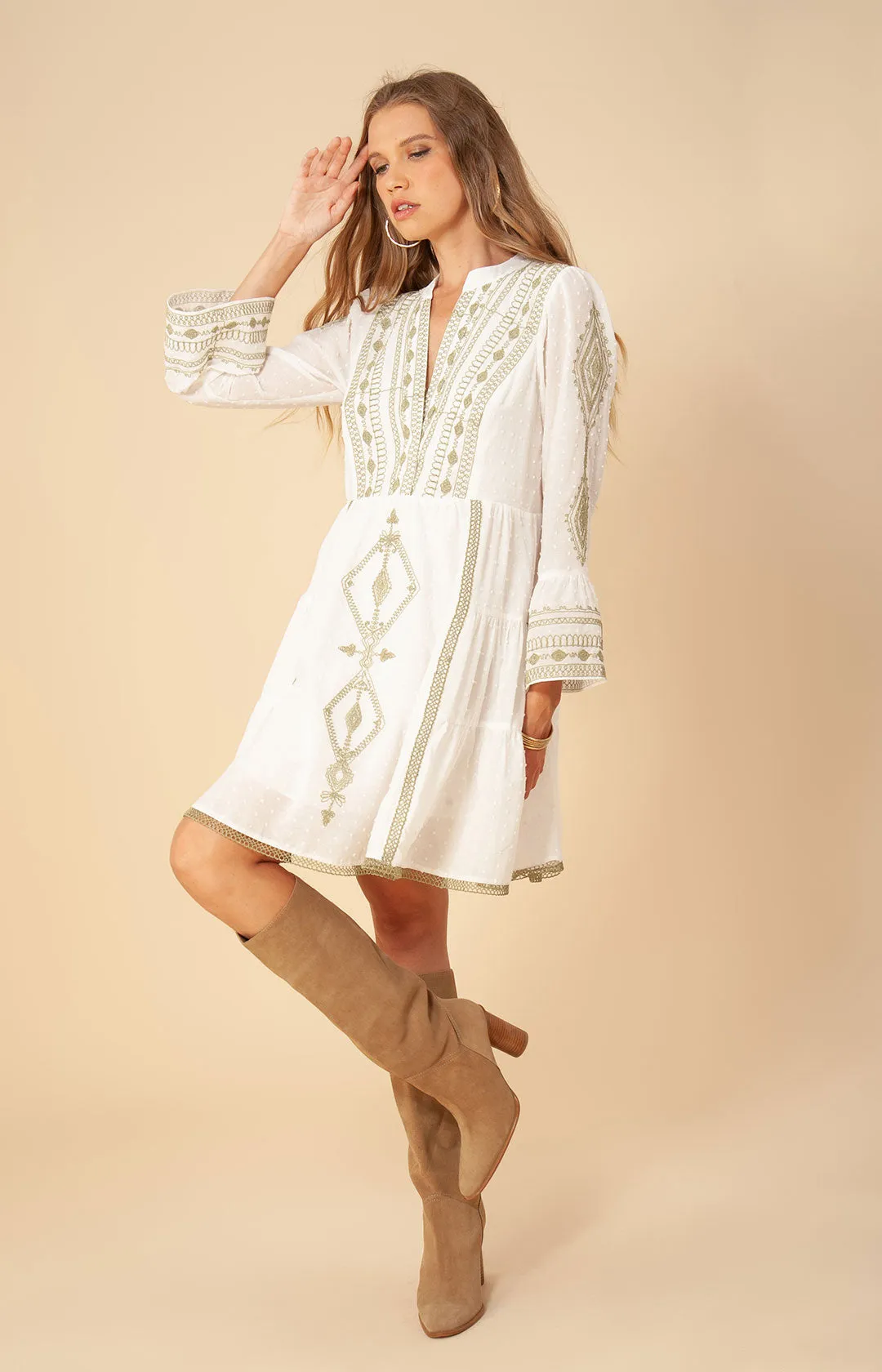 Tasha Embroidered Dress